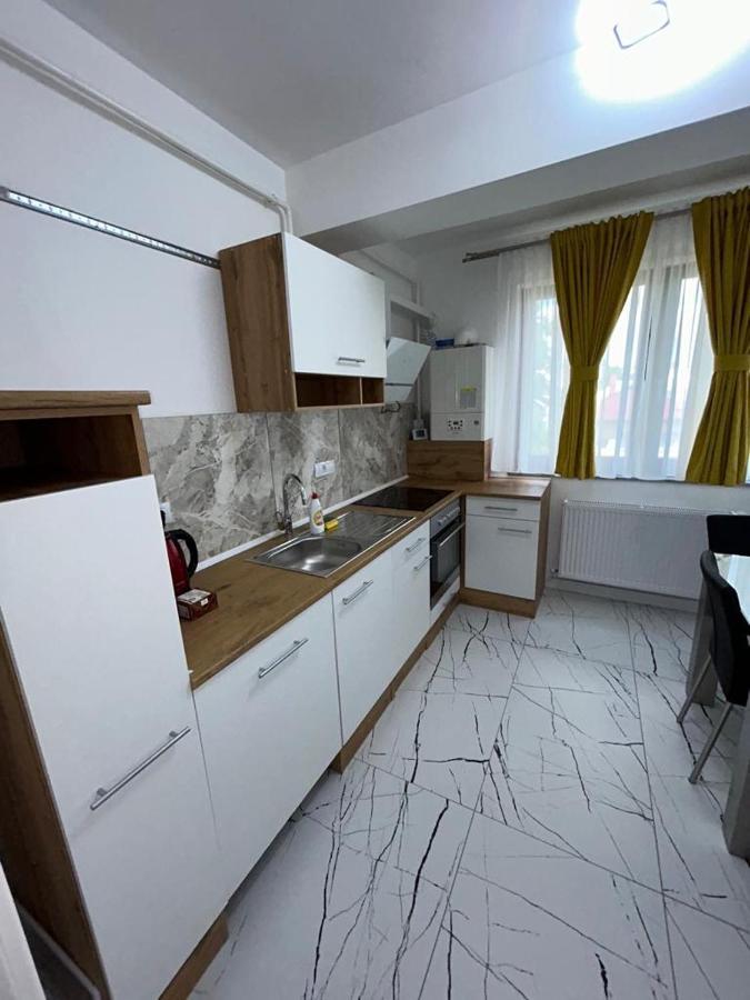 Marvellous Aparthotel With Master Apartments Suceava Luaran gambar